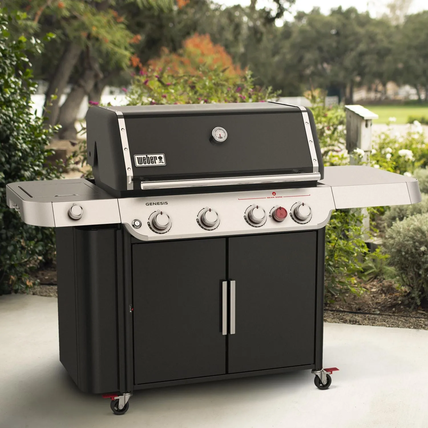 Weber: Genesis E-435