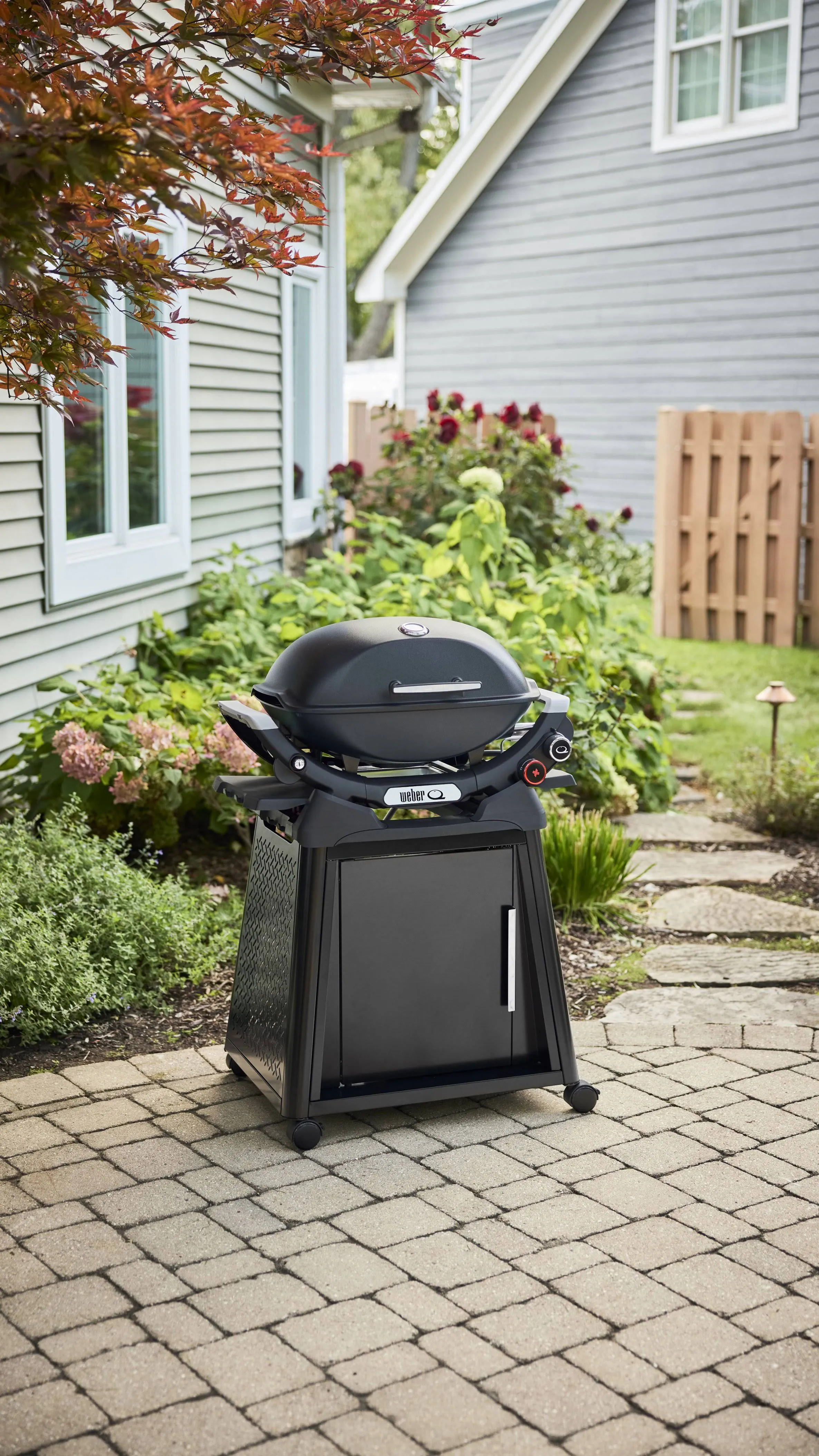 Weber Grills: Q 2800N  BLK PRM CART BNDL