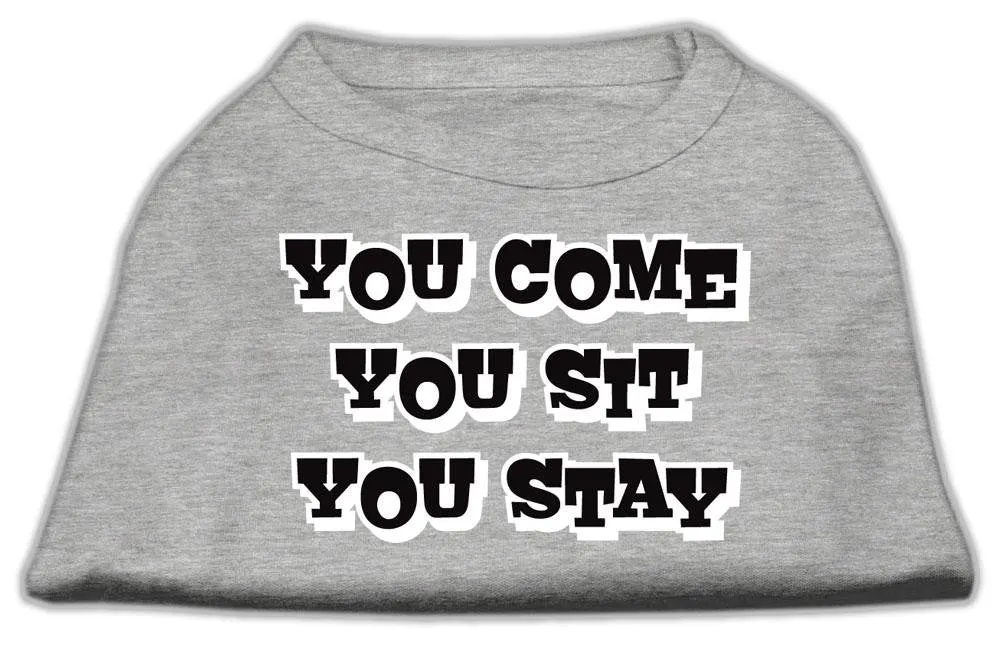 You Come, You Sit, You Stay Screen Print Shirts Grey L (14)