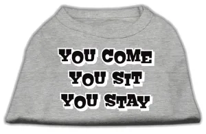 You Come, You Sit, You Stay Screen Print Shirts Grey XS (8)